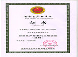 安全生產(chǎn)標(biāo)準(zhǔn)化三級(jí)企業(yè)