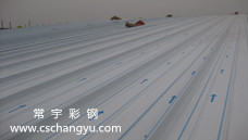 XVi呪ð_QI(y)WԺXV