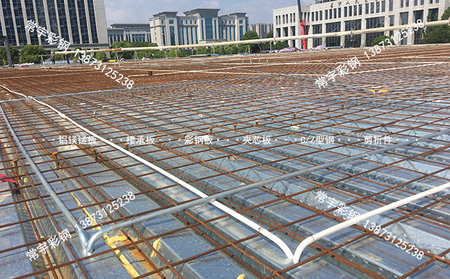 _(ki)ژǳа m.tokentorrent.com